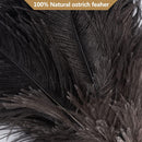 Ostrich Feather Duster - 40cm Long - Wooden Handle - Universal - Brown - Reusable and Washable Car Dusters - Eco-Friendly Cleaning Dusters - Feather Dusters