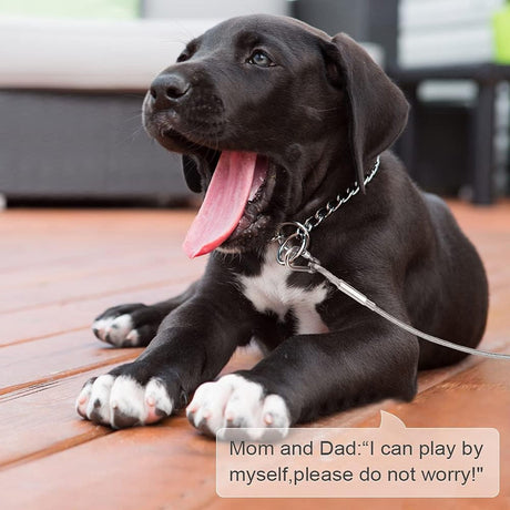 Dog leash cable - 5mm * 3m - stainless steel - silver - dog chains - with double fastening stainless steel buckle - camping accessories - dog game ground stake - heavy-duty dog chain - exhaust leash for animals