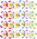 24pcs Plumeria Flower Hair Clips for Women and Girls, Hawaiian Hibiscus Barrettes, Beach Wedding Party
