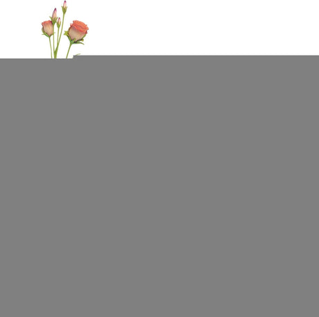 Oasis Floral Foam Block for Artificial Flower Arrangements, Wet and Dry Foam Wedding Accessories