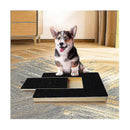 Dog Claw Training Board - File Trimmer Board, Trimming Board, Scratching Box
