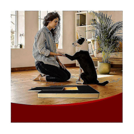 Dog Claw Training Board - File Trimmer Board, Trimming Board, Scratching Box