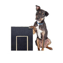Dog Claw Training Board - File Trimmer Board, Trimming Board, Scratching Box