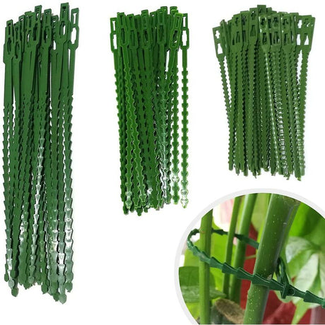 Plant Ties Adjustable Garden Supports 160 pcs Flexible Plastic Ties 3 Sizes for Shrubs Plants