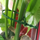 Plant Ties Adjustable Garden Supports 160 pcs Flexible Plastic Ties 3 Sizes for Shrubs Plants