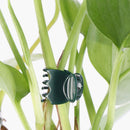 Orchid Clamps 100pcs for Supporting Plants, Compatible with Garden Orchids