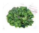 Compost Thermometer 50 cm Stainless Steel Soil Temperature Gauge