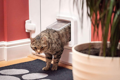 Cat Mate Cat Flap White Pet Door Compatible with Cats