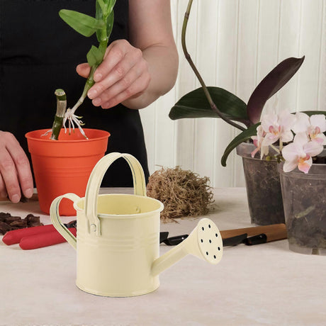 100% New, Mini Iron Watering Can, Spray Bottle, Metal Forging with Handle, Sprinkler Shower Pink