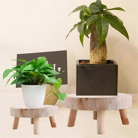 Wooden Plant Stand Bonsai Display Holder Indoor Outdoor Garden Decor