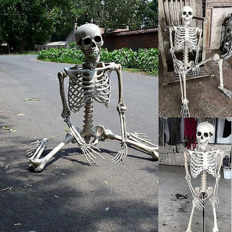 Life Size Halloween Skeleton with Movable Joints Full Body Scary Decoration for Party Haunted House