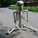 Life Size Halloween Skeleton with Movable Joints Full Body Scary Decoration for Party Haunted House