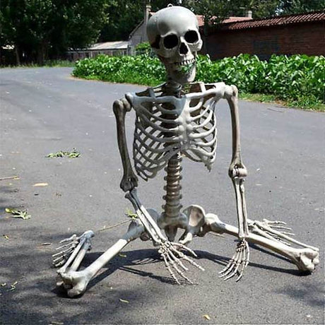 Life Size Halloween Skeleton with Movable Joints Full Body Scary Decoration for Party Haunted House