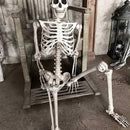 Life Size Halloween Skeleton with Movable Joints Full Body Scary Decoration for Party Haunted House