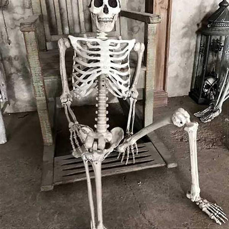 Life Size Halloween Skeleton with Movable Joints Full Body Scary Decoration for Party Haunted House