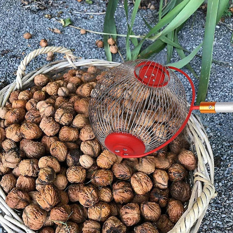 Side Opening Nut Picker for Walnuts and Pine Cones Collector Compatible with Oral-B