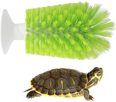 Turtle Shell Brush - Turtle Shell Brush - Turtle Shell Exfoliating Brush - With Suction Cup - Turtle Shell Cleaning Brush