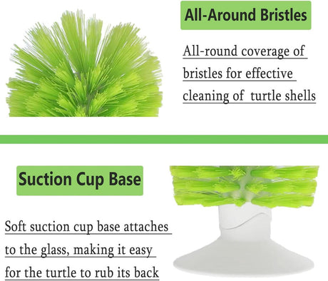 Turtle Shell Brush - Turtle Shell Brush - Turtle Shell Exfoliating Brush - With Suction Cup - Turtle Shell Cleaning Brush