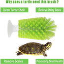 Turtle Shell Brush - Turtle Shell Brush - Turtle Shell Exfoliating Brush - With Suction Cup - Turtle Shell Cleaning Brush