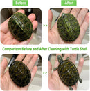 Turtle Shell Brush - Turtle Shell Brush - Turtle Shell Exfoliating Brush - With Suction Cup - Turtle Shell Cleaning Brush