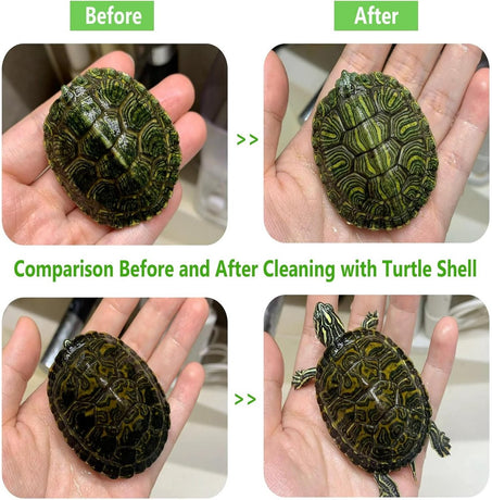 Turtle Shell Brush - Turtle Shell Brush - Turtle Shell Exfoliating Brush - With Suction Cup - Turtle Shell Cleaning Brush