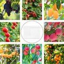 Garden Tools - 20 Items - Fruit Protection Bags - White Fruit Protection Bags with Drawstring - Garden Net Bags - Suitable for Grapes - Prevent Wasps, Cherry Vinegar Flies and Other Insects from Eating Them