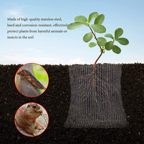 Garden Tools - 3-Piece Root Protection Baskets - Gopher-Resistant Stainless Steel Wire Basket Barriers - Keep Burrowing Animals, Pests, Voles, Moles, and More Out - 24 x 24 Inches