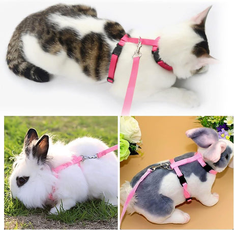 Cat Harnesses & Leashes - Cat Harnesses with Leashes - Anti-Escape Cat Leash Sets - Adjustable Soft Kitten Vests - Kitten Harnesses - For Kittens and Puppies