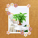 Push Pins - 30 pieces - Flower-shaped push pins - Flower pins for notice boards - Pin board pins - Decorative push pins - Suitable for notice boards, offices, schools and home use.