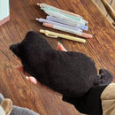 Student Storage Box - Pencil Case - Makeup Bag - Cute Cat-Shaped Storage Bag - Creative Cat-Shaped Storage Bag - Lightweight and Portable - Suitable for School, Office and Travel（Black）