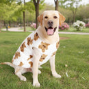 Dog Coat - Cute Bear Pattern - Plush Dog Vest - Winter Dog Coats - Dog Coat - Suitable for medium to large dogs weighing 20-25 kg - White