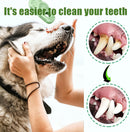 Dog Toothbrush-Chew Toy-Cleaning Teeth-Green+Pink