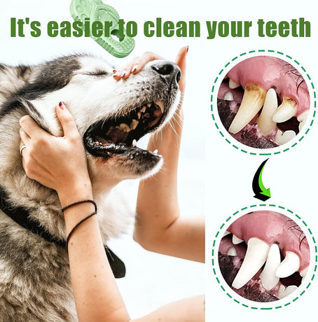 Dog Toothbrush-Chew Toy-Cleaning Teeth-Green+Pink