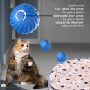Play mat - Educational cat toy - USB automatic cat toy with three settings - 1 item