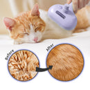 Self-Cleaning Brush - Antistatic - Pet - 3-in-1 - Purple - 1st