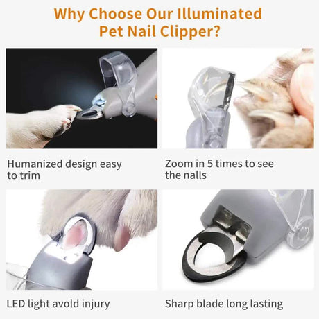 Pet Nail Clippers with LED Light - Cleaning - Orange - 1pc