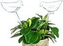 Self-watering globes, bird-shaped plant watering device, hand-blown, clear glass globe for indoor and outdoor plants, pack of 2