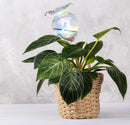 Plant Watering Balls Self-Watering Spikes Hand-Blown Laser Colorful Glass Plant Watering Balls Devices for Indoor & Outdoor Fill from Top 2 Stripe Flower Shape