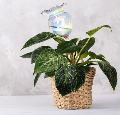 Plant Watering Balls Self-Watering Spikes Hand-Blown Laser Colorful Glass Plant Watering Balls Devices for Indoor & Outdoor Fill from Top 2 Stripe Flower Shape