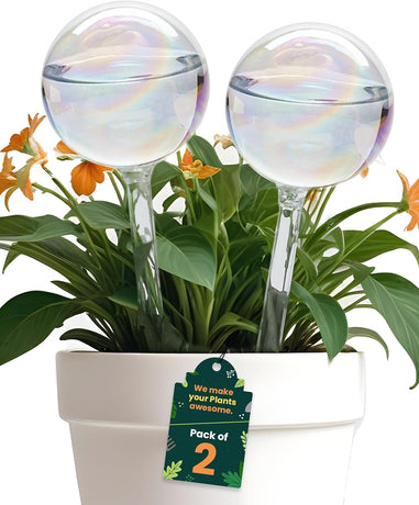Iridescent self-watering balls, glass rainbow plant watering balls, self-watering planter insert, automatic indoor plant watering, plant watering devices, plant watering balls, watering ball