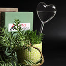 Self-watering plant watering balls, hand-blown glass plant watering balls, watering balls for indoor and outdoor plants, 2 hearts