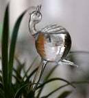 snail-shaped hand-blown clear glass self-watering sustainable mini transparent plant watering pot