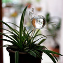 snail-shaped hand-blown clear glass self-watering sustainable mini transparent plant watering pot