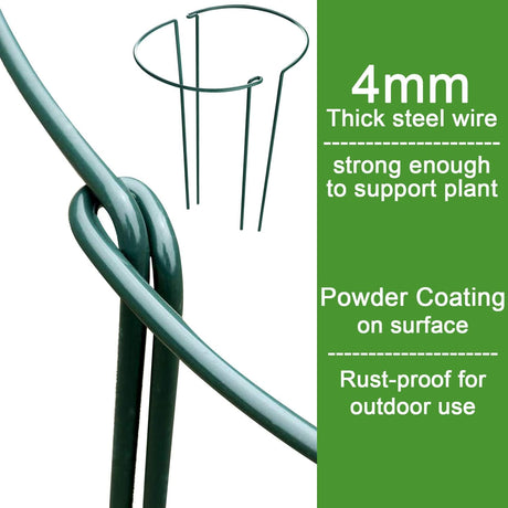 Plant Support Poles, 6-Pack Metal Peony Cages and Supports, Plant Support Cage for Garden Poles, Large Plant Support Ring for Outdoor and Indoor Use, Snake Plant, Peony, Flower Tendril (25cm W x 40cm H)