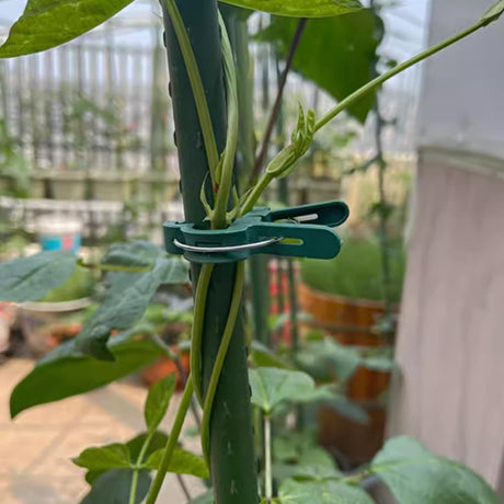 40 pieces plant clips, garden clips, plant clips, reusable tomato clips, multifunctional rattan plant clips, rose clips, sturdy cucumber clips, orchid clips, plant support, adjustable clips, green (20 large and 20 small)