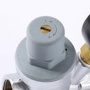Adjustable pressure reducing valve with integrated pressure gauge for hot and cold water, brass pipe valve for home, commercial and industrial use (DN15)