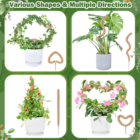 Flexible Plant Support for Climbing Plants - 60 cm Set of 2 - For Houseplants