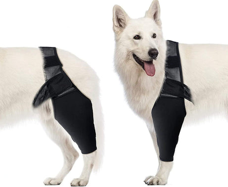 Dog Elbow Support Brace Compression Sleeve for Arthritis Dysplasia and Calluses, Increases Joint Temperature and Improves Circulation for Small to Medium Breeds Size M