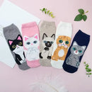 Women's Cute Animal Socks Pack 5 Pairs, Cat Dog Owl Designs in Bright Colors, Soft Breathable Cotton Blend for UK 6-8, Perfect Fun Gift for Christmas