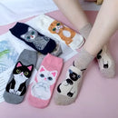 Women's Cute Animal Socks Pack 5 Pairs, Cat Dog Owl Designs in Bright Colors, Soft Breathable Cotton Blend for UK 6-8, Perfect Fun Gift for Christmas